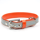 Two Tone Leather Dog Collar by Petiquette